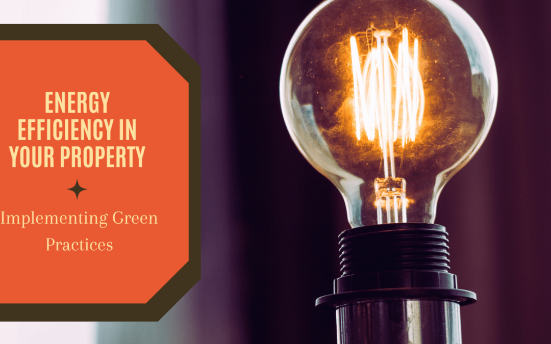 Energy Efficiency in Your Property: Implementing Green Practices in San Ramon